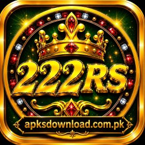 222RS Game