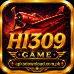 HI309 Game