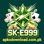 SK E999 Game
