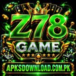 Z78 Game